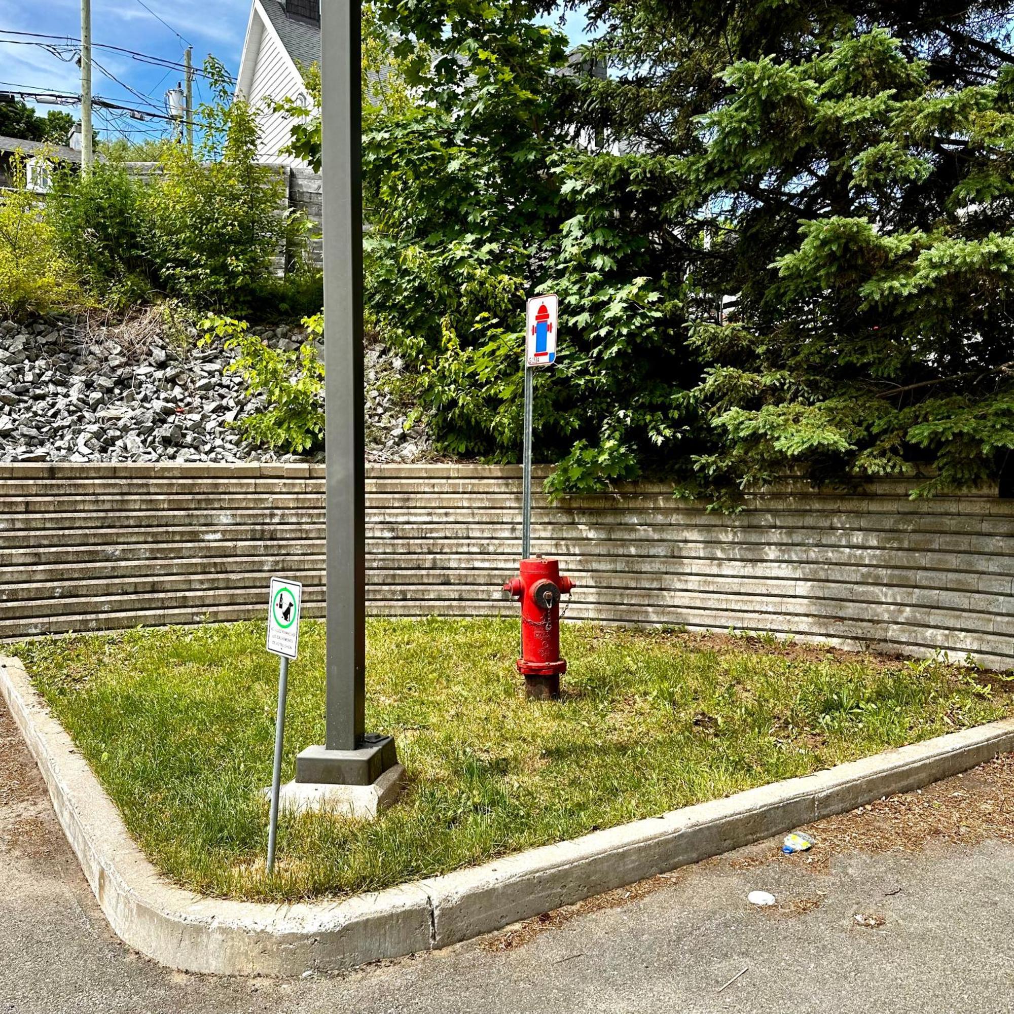 Initial - Citadin - Chutes-Montmorency Saint-Jean-de-Boischâtel Buitenkant foto